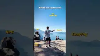 How Unreal Engine Rats See the World #ue5 #vfx #realtime