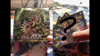 We opened a Japanese box of EX Scarlet! Come and see what we got!