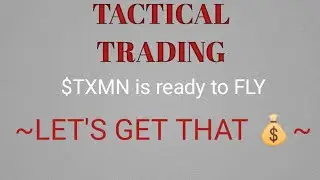$TMXN Next Custo 10 bagger?
