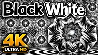Black & White Hypnotic Spheres | Relaxing Meditative Music | Get Hypnotize in 5 Minutes