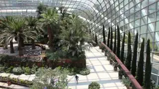 Flower Dome (Gardens By The Bay) / Цветочный Купол (Сады У Залива)