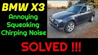BMW - Guibo Making Squeaking, Chirping Noise Towards Rear End - Issue Found
