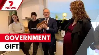 Federal Government expands 5% deposit scheme | 7NEWS