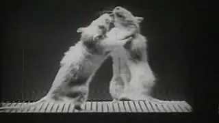 1948: Experiment on Psychology of Motivation & Reward in Learning