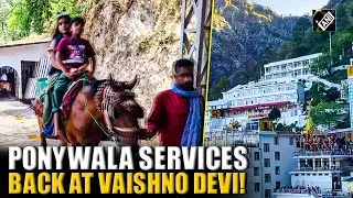 J&K: Ponywala resume services at Vaishno Devi as pilgrimage numbers grow daily in Katra