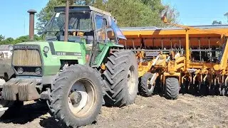 Sembrando la avena || Marzo 2021