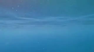 &Pi;&alpha;&rho;&alpha;&lambda;ί&alpha; &Sigma;&epsilon;&rho;&gamma;&omicron;ύ&lambda;&alpha;&sigmaf; &epsilon;&pi;&iota;&phi;ά&nu;&epsilon;&iota;&alpha; &theta;ά&lambda;&alpha;&sigma;&sigma;&alpha;&sigmaf;