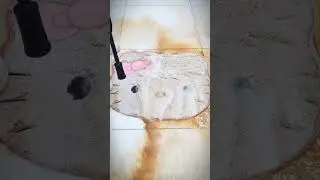 The Most Satisfying Carpet Cleaning You&rsquo;ll See Today #satisfying 