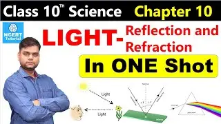 Light: Reflection and Refraction | Class 10 Science Chapter 10 [Full Chapter]