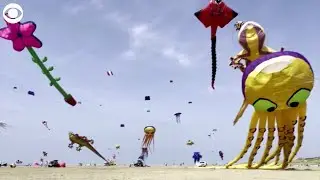 WEB EXTRA: Kites Fly At Festival In England