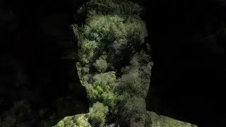 Dillbilly - Chaparral [OFFICIAL MUSIC VIDEO]
