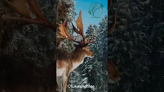 Majestic Wonders of Nature #wildlifeseekers #wildlifewonders