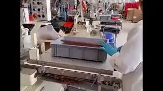 Conditionnement des avelines &agrave; la manufacture Favarger