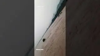 Palaru River x Polozhenie | Vellore | Nature Info #Shorts