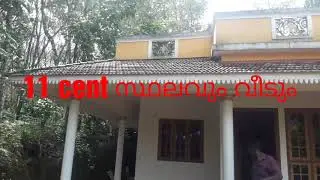 Pala#       paika*