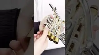 Piccolo Trumpet Trim Kit