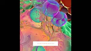 Woody Vine &mdash; On My Chemical Reaction [ft. utahboi] [Bonus Track]