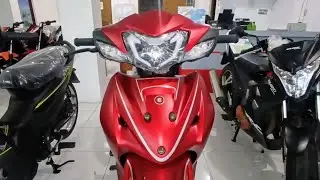 EuroMotor Peak 110, 