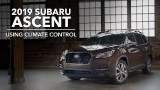 2019 Subaru Ascent - Climate Controls