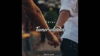 Dalav-Tumerudiana(official audio)