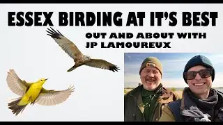 ESSEX BIRDING AT IT'S BEST!
