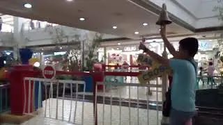 Festival Mall Short Barrier 1