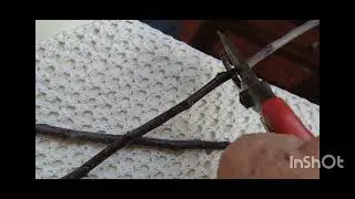 Ramuri altoi-cand recoltam,ce recoltam,cum păstrăm.