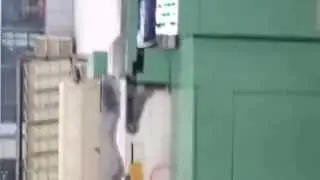 Tray Filler