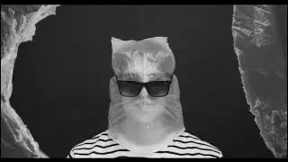Max Callioni///PANE