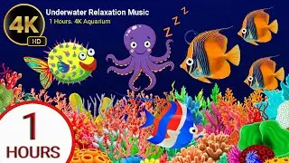 Lullaby Fish 🐠 Deep Ocean Sleep Music for Babies  Instant Calm & Night Sleep #17