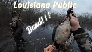 Louisiana Public Land BAND! | 2026