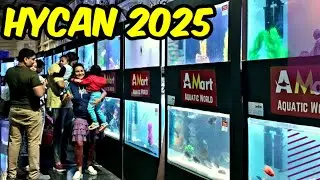 HYCAN 2025 | A MART AQUATIC WORLD | AQUARIUM EXHIBITION