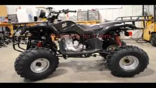 Cheap priced 250cc Utility Four Wheeler with Free Shipping | Q9 PowerSports