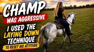 Laying a Horse Down & Riding | Building Trust & Partnership