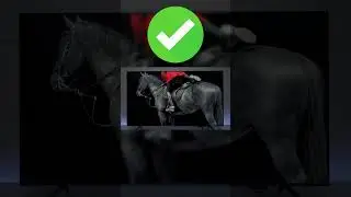 Le meilleur t&eacute;l&eacute;viseur 4K pas cher sur Amazon