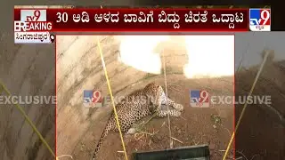 Leopard Rescue At Ramanagara: ಖಾಲಿ ಬಾವಿಗೆ ಬಿದ್ದು ಒದ್ದಾಡುತ್ತಿದ್ದ ಗಂಡು ಚಿರತೆಯನ್ನು ಕಾಪಾಡಿದ ಅರಣ್ಯ ಇಲಾಖೆ