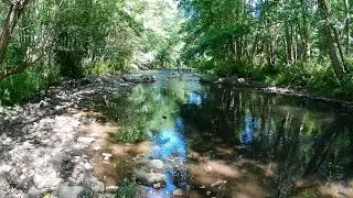 Fly Fishing UK - Alyn River 2022