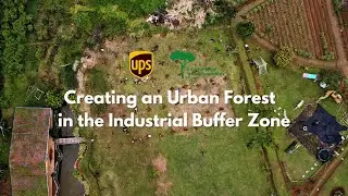 Planting Trees with UPS I Urban Forest in Jakarta Buffer Zone I Trees4Trees
