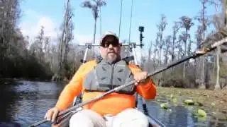 Alligator Safety ChrisFunk