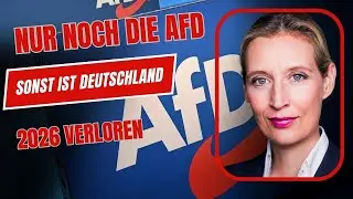 💀💀Jetzt sollen AfD-Mitarbeiter herausfliegen &ndash; n&auml;chster Angriff auf die Opposition🙂&zwj;↕️🙂&zwj;↕️