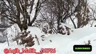 Mehandi the bhukha daliya daliya  snowfall kuchhal  #gujarisong #trending #song #kuchhal 