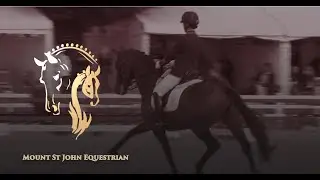 2021 Promo of Mount St. John 2nd Broodmare & Embryo Auction