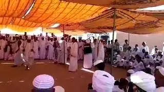 الفنان ود العقيد