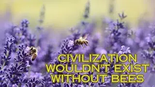 Early Human History and Bees