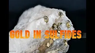 GOLD IN SULFIDES  2025
