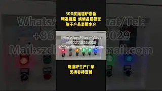 Customized drying of tunnel furnace with multiple materials, supported by Emperor Long manufacturer