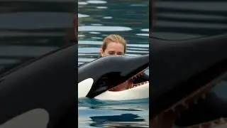 😬 ORCA KILLS TRAINER: Jessica Radcliffe's HORRIFYING Last Moments Caught on Camera (GRAPHIC FOOTAGE)