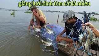 Hai ông chú hả lưới ở ngoài sông lớn dính nhiều tôm cá.