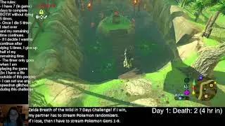 New Year, New Zelda Playthrough! (BOTW in 7 Days Challenge Part 2)