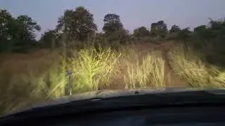 The deadliest entry into Save Valley Conservancy